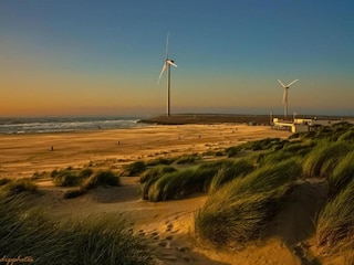 Holiday house Oostkapelle Environment 20