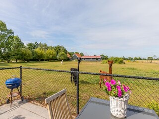 Holiday house Koudekerke Outdoor Recording 10