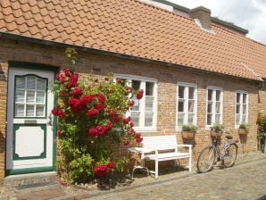 Holiday house "Kleine Straße" - Husum - image1