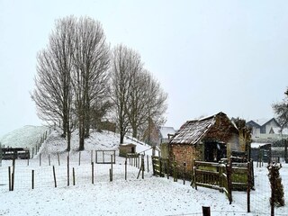 Ferienhaus Biggekerke Umgebung 25