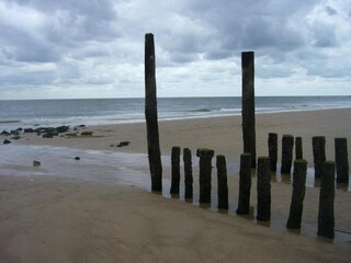 Casa de vacaciones Zoutelande Entorno 30