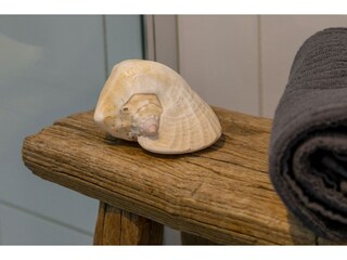 Vakantiehuis Zoutelande  38