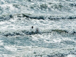 Maison de vacances Zoutelande Environnement 31