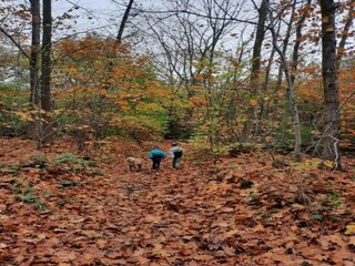 Vakantiehuis Havelange Omgeving 25