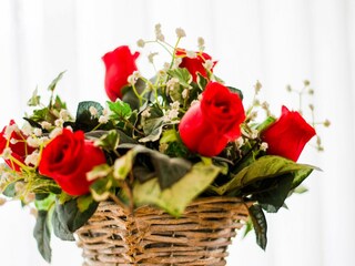 Appartamento Wenduine  38