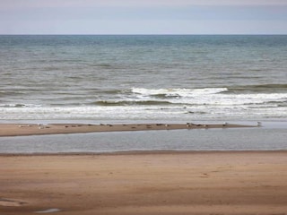 Appartement Wenduine Omgeving 32