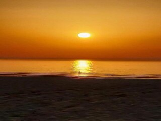 Appartamento Wenduine Ambiente 24