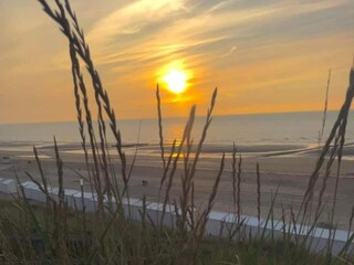 Apartment Wenduine Environment 33