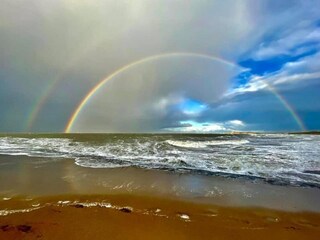 Apartment Wenduine Umgebung 24