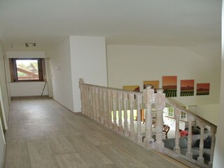 Villa Koewacht Características 12
