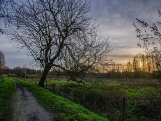 Villa Koewacht Omgeving 34