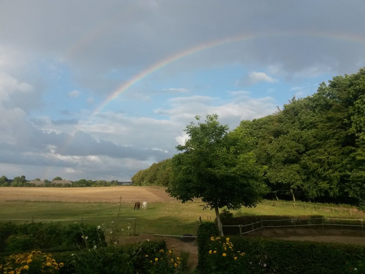 Terrassenblick