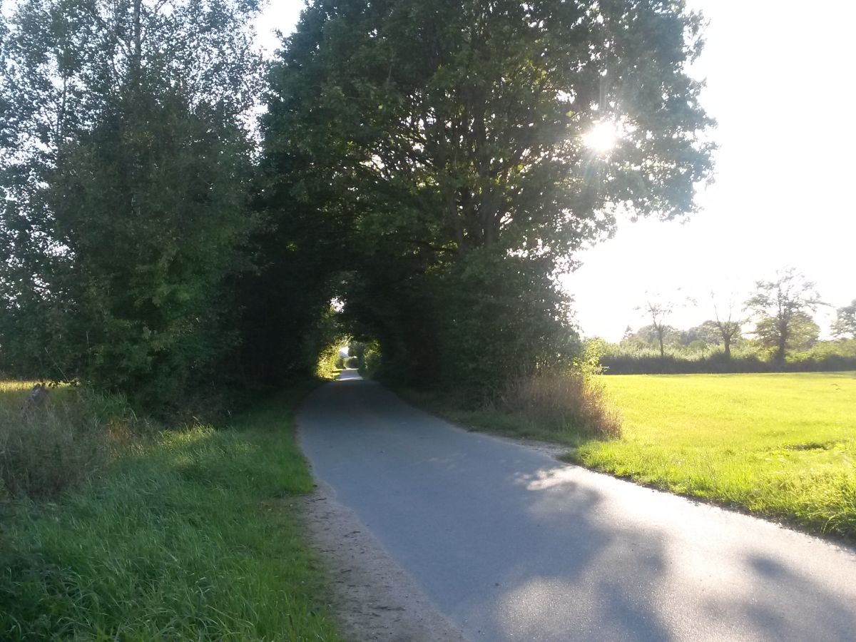 Unsere grünen "Tunnel"