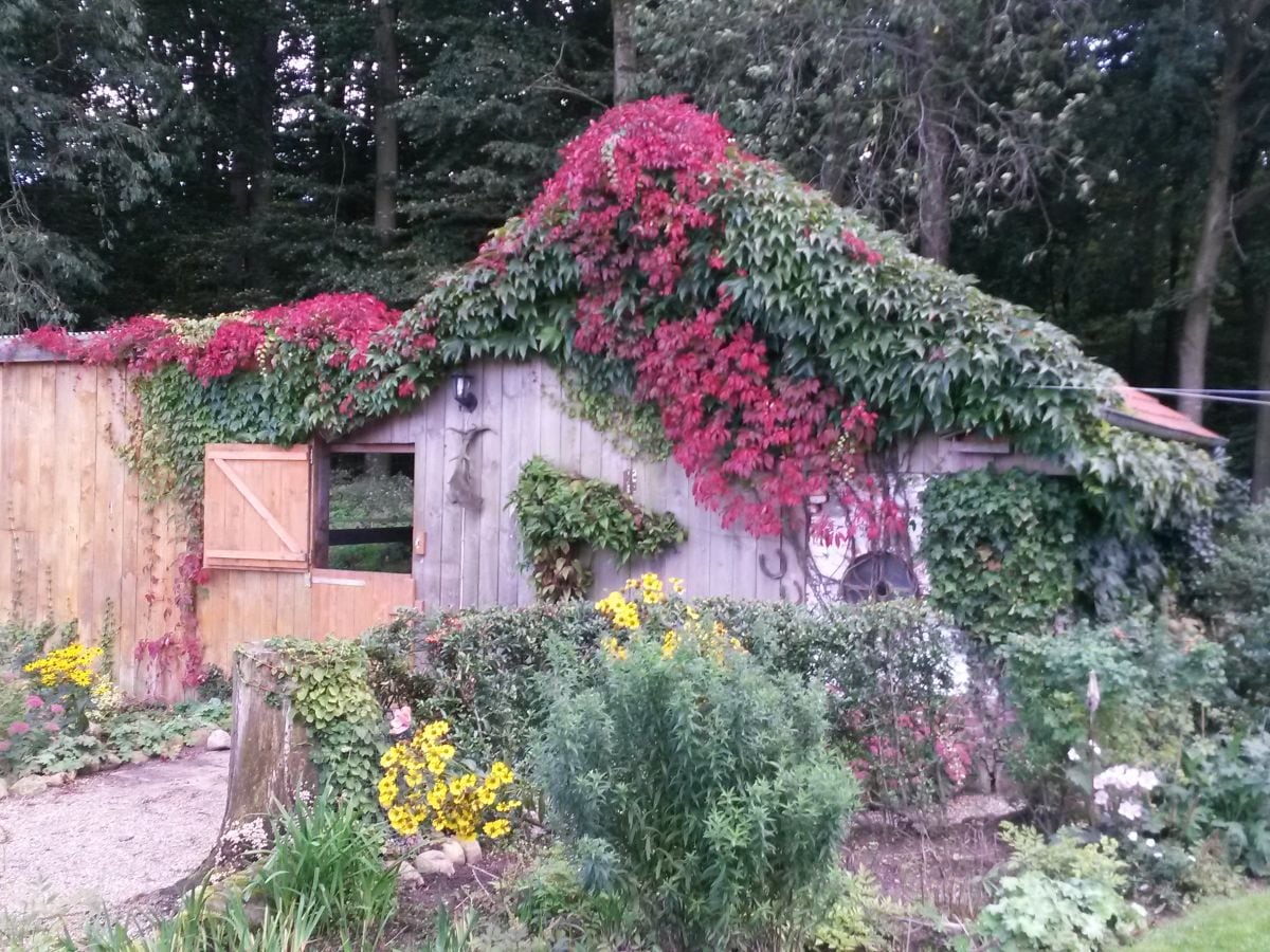 Der Offenstall, früher Backhaus