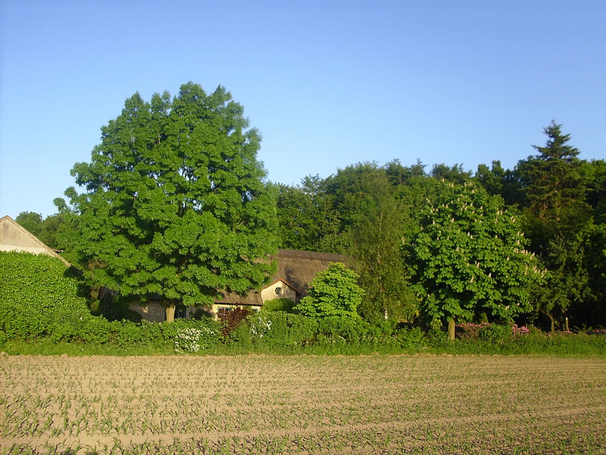 Mitten in der Natur