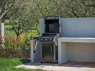 Casa de vacaciones Novigrad (Istrien)  39