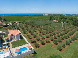 Ferienhaus Novigrad (Istrien) Außenaufnahme 2