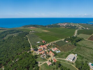 Maison de vacances Novigrad (Istrien) Environnement 32