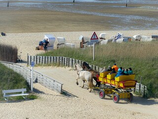 Ferienwohnung Sahlenburg Außenaufnahme 1
