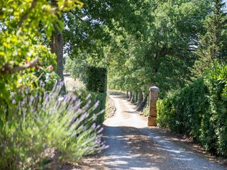 Holiday house Gaiole in Chianti Features 18