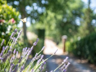 Vakantiehuis Gaiole in Chianti  36