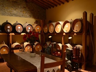 Holiday house Gaiole in Chianti  39