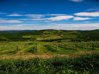 Maison de vacances Gaiole in Chianti Environnement 24