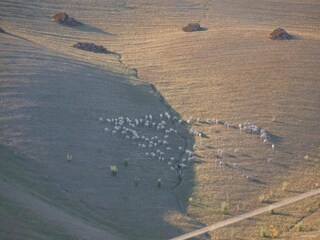 Type de propriété : Ferme Monticiano Environnement 23