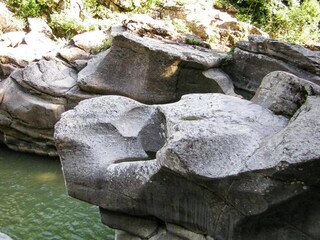 Fattoria Monticiano Ambiente 24