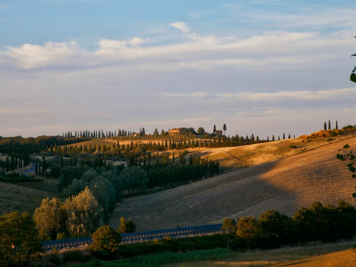 Bauernhof Castelnuovo Berardenga Umgebung 25