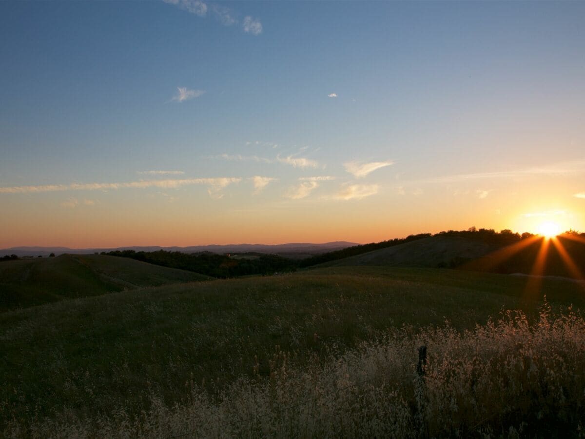 Bauernhof Castelnuovo Berardenga Umgebung 26