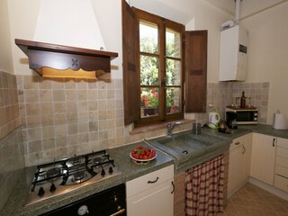 Fattoria Castelnuovo Berardenga Caratteristiche 12