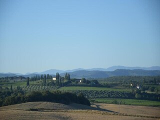 Casa de campo Castelnuovo Berardenga Entorno 34