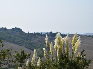 Fattoria Castelnuovo Berardenga Ambiente 33