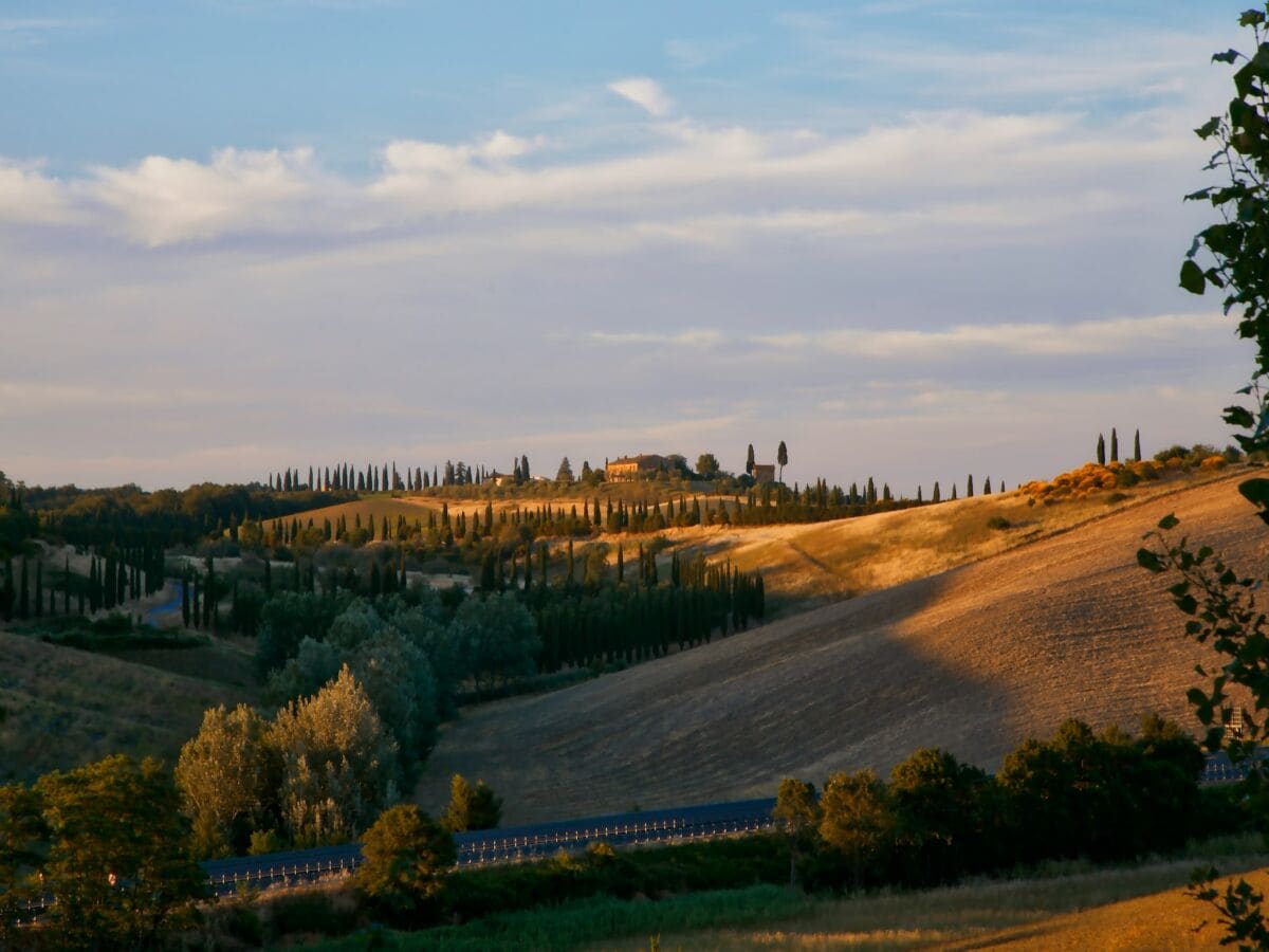 Bauernhof Castelnuovo Berardenga Umgebung 26