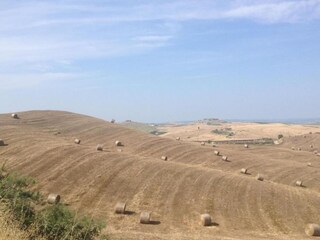 Type de propriété : Ferme Castelnuovo Berardenga Environnement 28