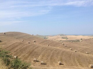 Fattoria Castelnuovo Berardenga Ambiente 28
