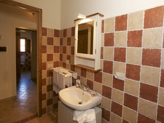 Fattoria Castelnuovo Berardenga Caratteristiche 9