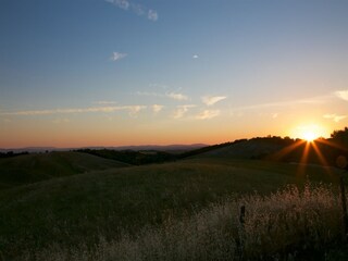 Fattoria Castelnuovo Berardenga Ambiente 32