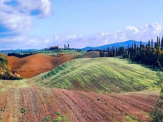 Bauernhof Castelnuovo Berardenga Umgebung 30