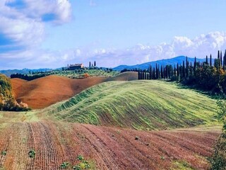Farmhouse Castelnuovo Berardenga Environment 30