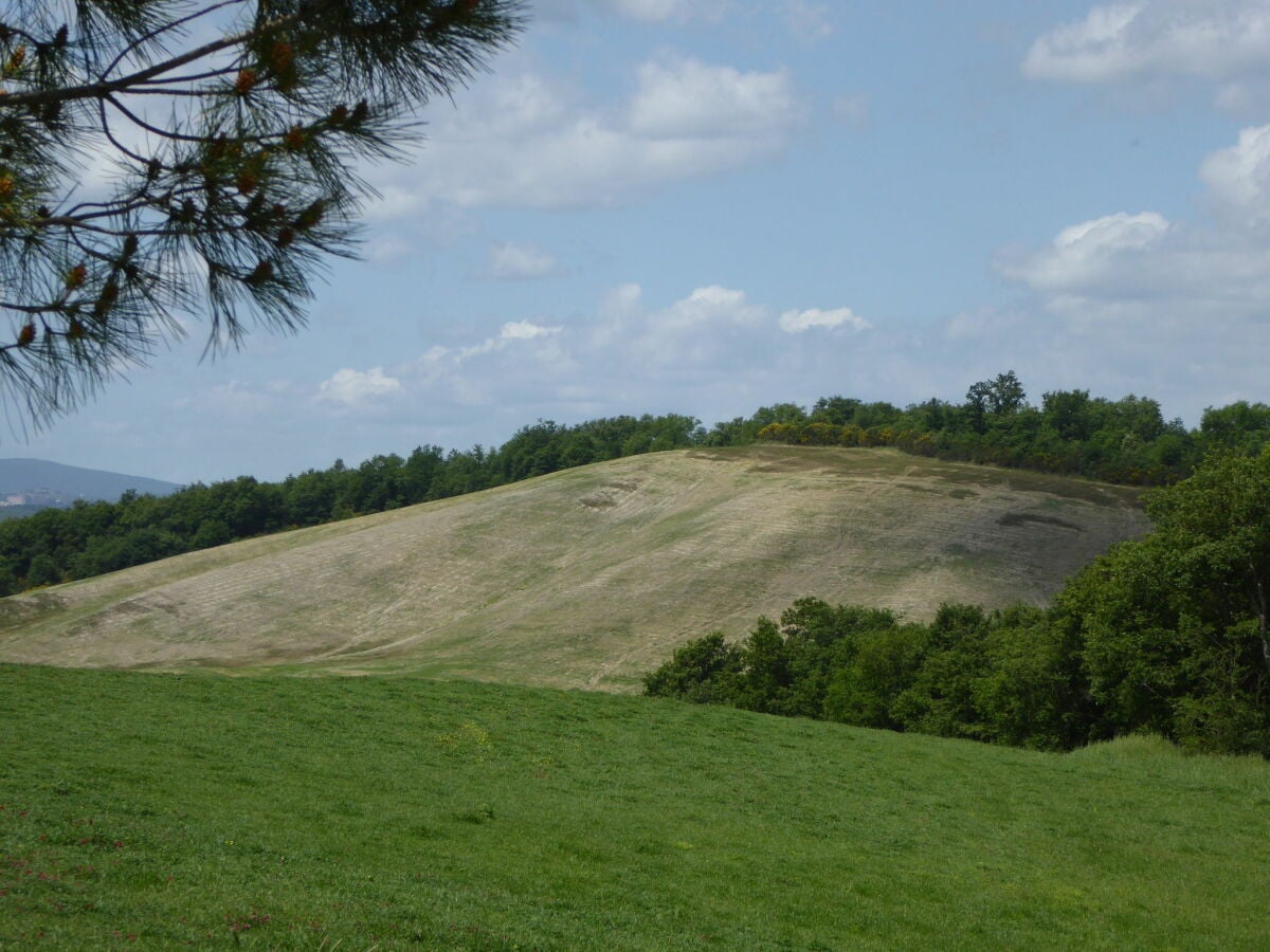 Bauernhof Castelnuovo Berardenga Außenaufnahme 4