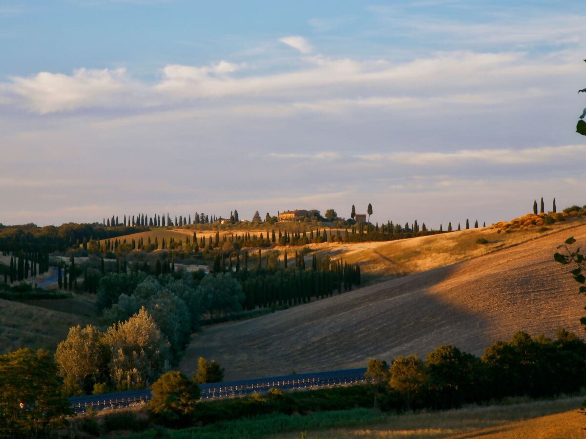 Bauernhof Castelnuovo Berardenga Umgebung 26