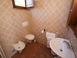 Fattoria Castelnuovo Berardenga Caratteristiche 19