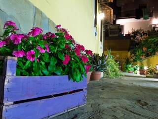 Maison de vacances Agropoli  26