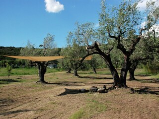 Villa Ascea Grabación al aire libre 8