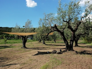 Villa Ascea Registrazione all'aperto 7