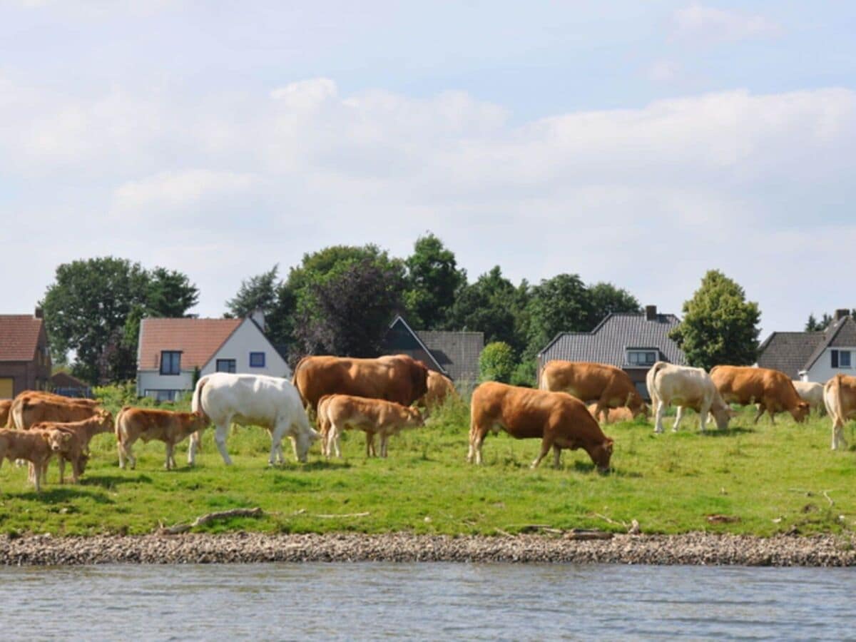 Ferienhaus Baarlo Umgebung 22