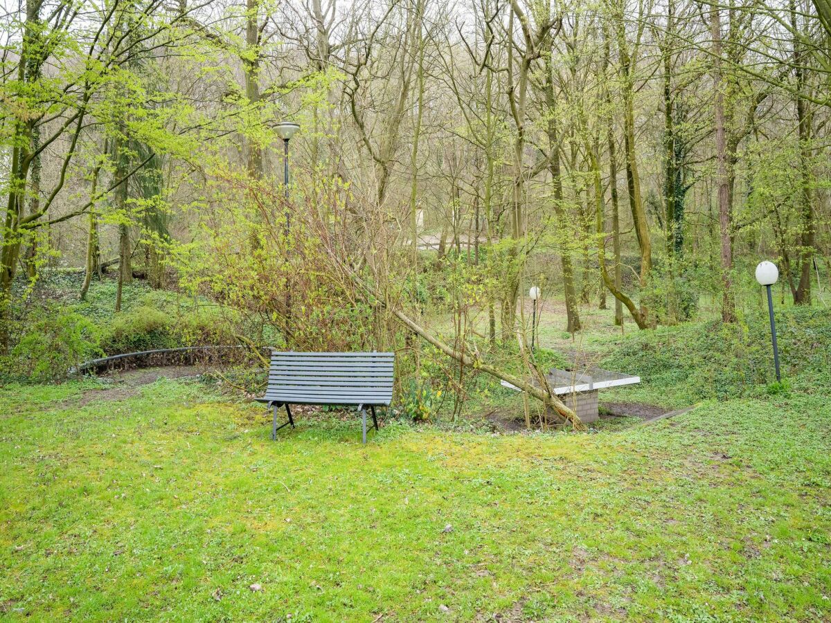 Ferienhaus Valkenburg Umgebung 33