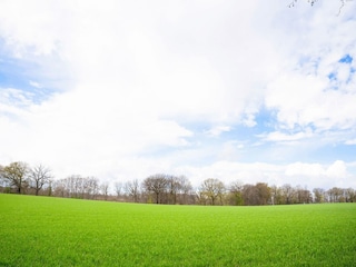 Holiday house Valkenburg Environment 34